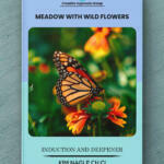 Meadow With Wild Flowers