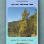 The Lake and Oak Tree